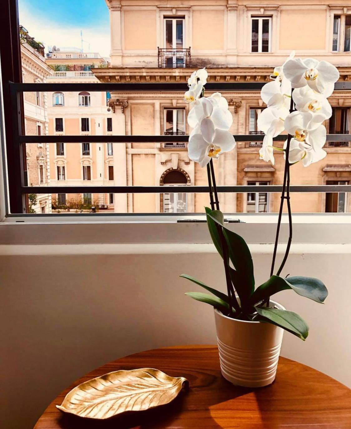 900 Piazza Del Popolo Bed & Breakfast Rome Exterior photo